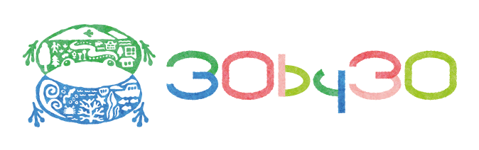 logo_30by30