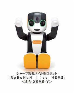 RoBoHoN lite HEMS